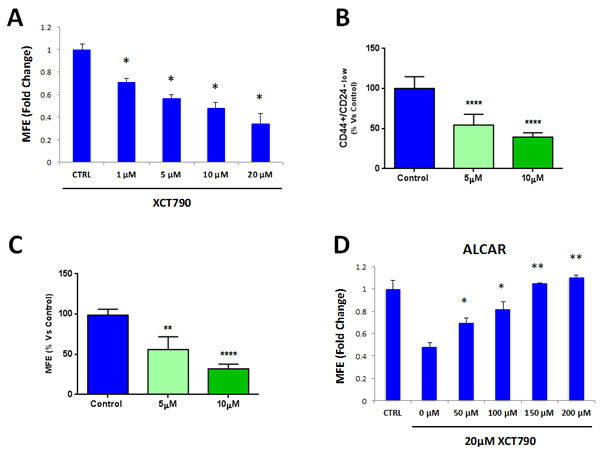 MCF7 cell 3D-spheroid formation depends on mitochondrial function.