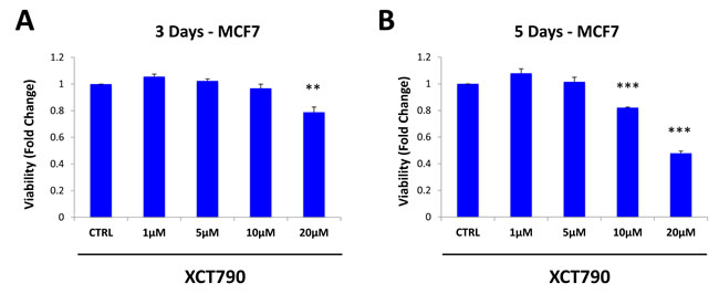 XCT790 preferentially reduces the viability of MCF7 cells in mammospheres, relative to bulk cancer cells.