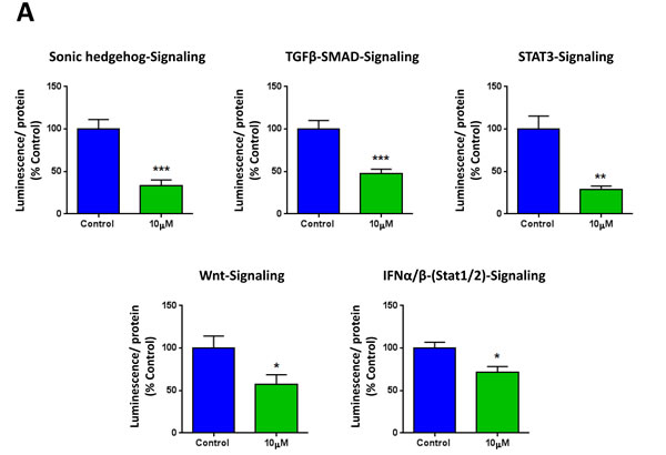 XCT790 inhibits signaling pathways related to cancer stem cells, and interferon.