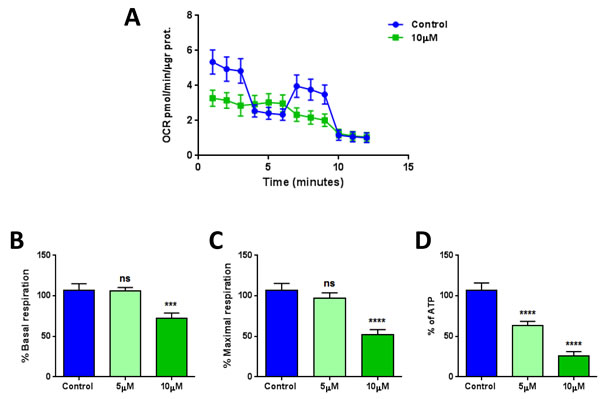 XCT790 quantitatively reduces mitochondrial respiration.