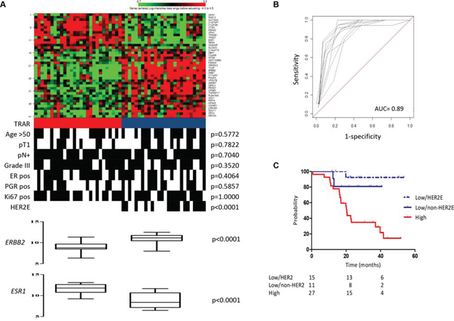 Development of 41-gene risk model.