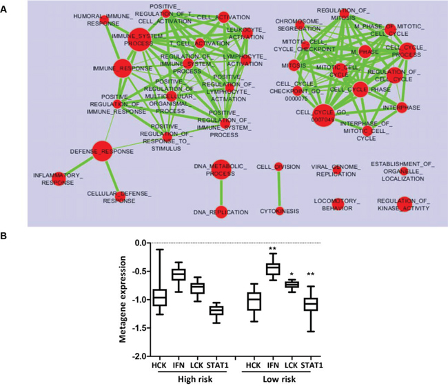 Immune metagene expression according to TRAR classification.