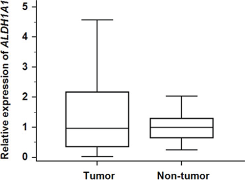 Relative expression of ALDH1A1-mRNA in 47 HCC tumorous tissues and corresponding adjacent non-tumorous tissues.