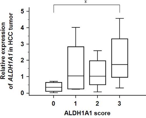 Relative expression of ALDH1A1-mRNA in 47 HCC tumorous tissues according to ALDH1A1 score.