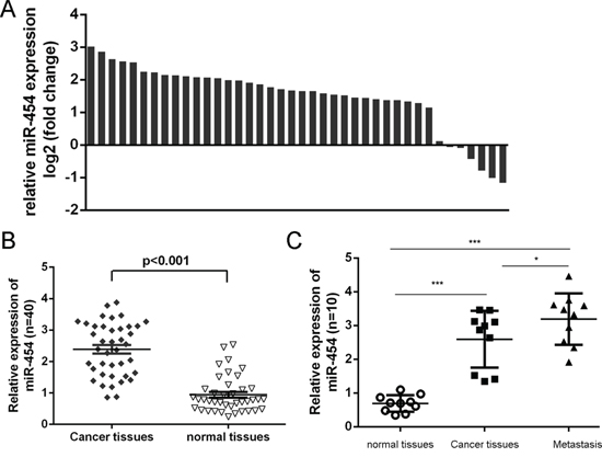 miR-454 was elevated in HCC tissues.