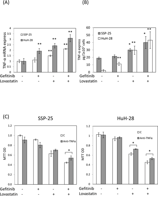 Combined treatment of lovastatin and gefitinib induced synergistic effects on the expression of TNF-&#x03B1;.