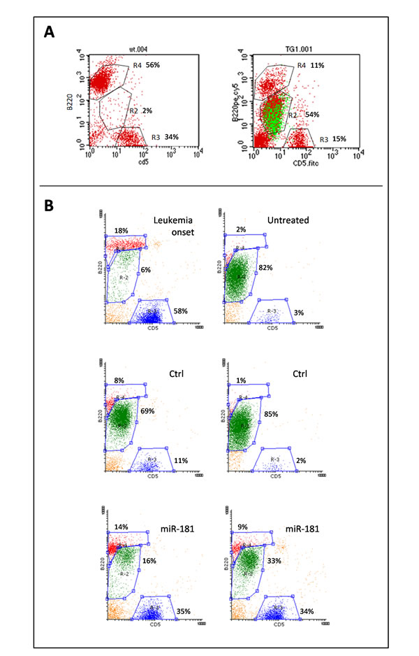 Leukemic expansion (LE) monitored by B220+/CD5dim immunostaining.