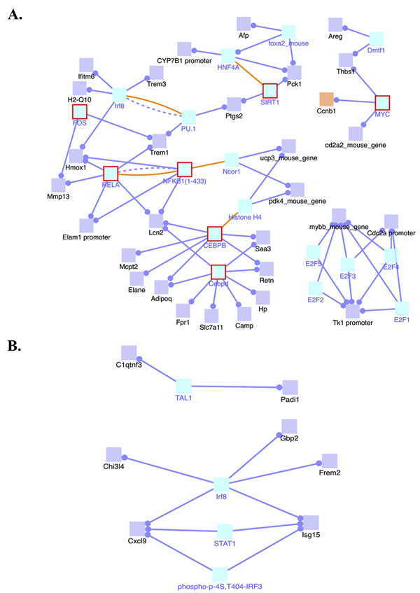 Induced transcription network modules derived from the RNA-seq data in the 4-NQO(E) group compared to the UNT(E) group.