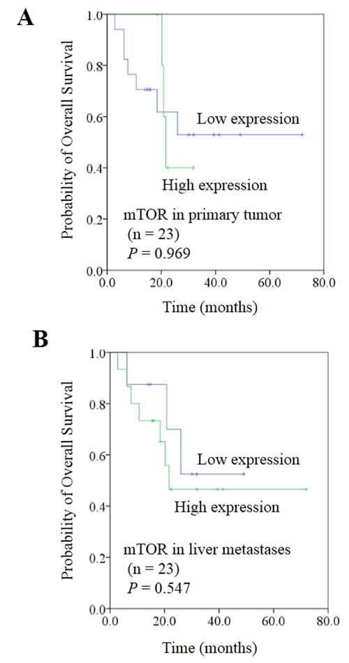 Correlation between expression of mTOR and prognosis in colorectal cancer liver metastases.
