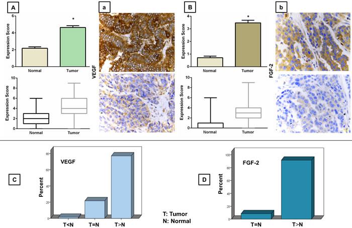 Immunohistochemical analysis of VEGF (A-a) and FGF (B-b) expressions in human epithelial ovarian cancer tissue.