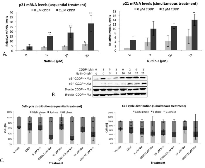 Nutlin-3 induced a strong G2/M phase arrest in combination with CDDP in the p53 wild type cell line A549