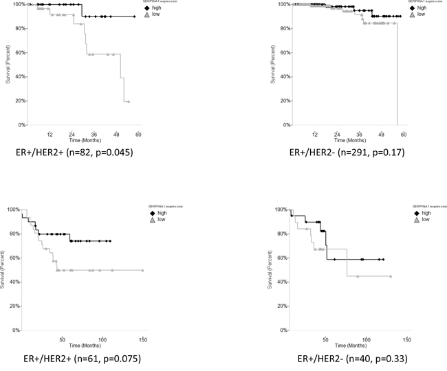 Survival analysis of SERPINA1 in TCGA and Bild breast cancer patient cohorts with ER+/HER2+ status.