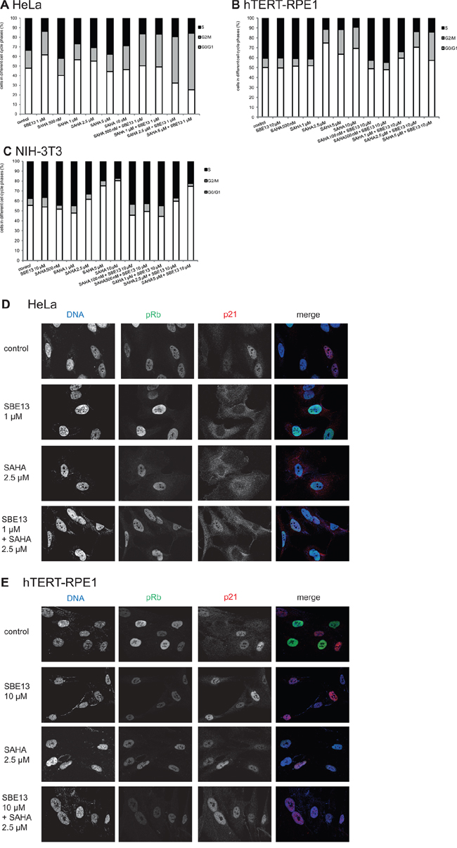 Effect of SAHA and SBE13 on cell cycle distribution of HeLa A. hTERT-RPE1 B. and NIH-3T3 cells C. and immunofluorescence microscopy of HeLa D. and hTERT-RPE1 cells E.