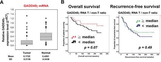 Low GADD45&#x03B3; expression in HCC tumors predicted poor survival in patients with HCC who had undergone curative surgery.