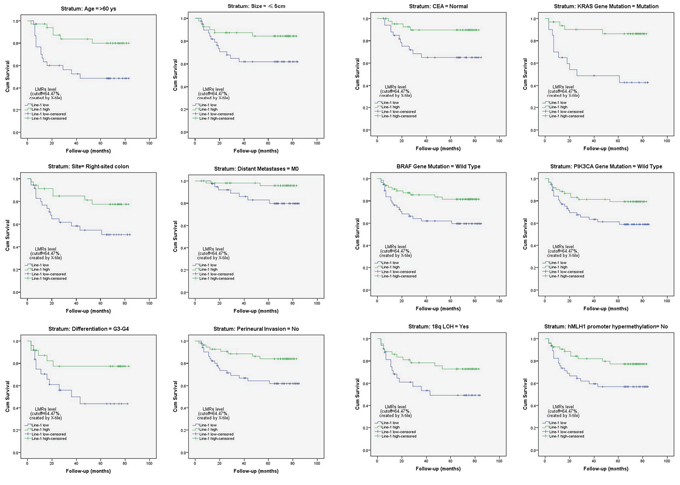 Stratified analysis of the influence of the LMR level on colon cancer-specific survival.