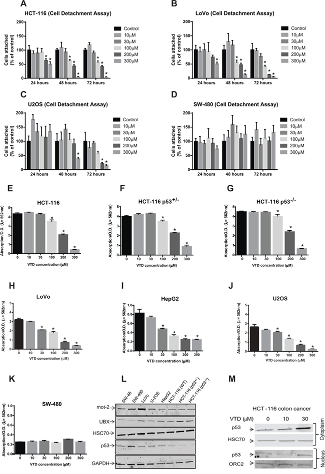 Induction of apoptosis and in vitro cytotoxicity by VTD in human cancer cell lines with different statuses of p53 and mot-2.