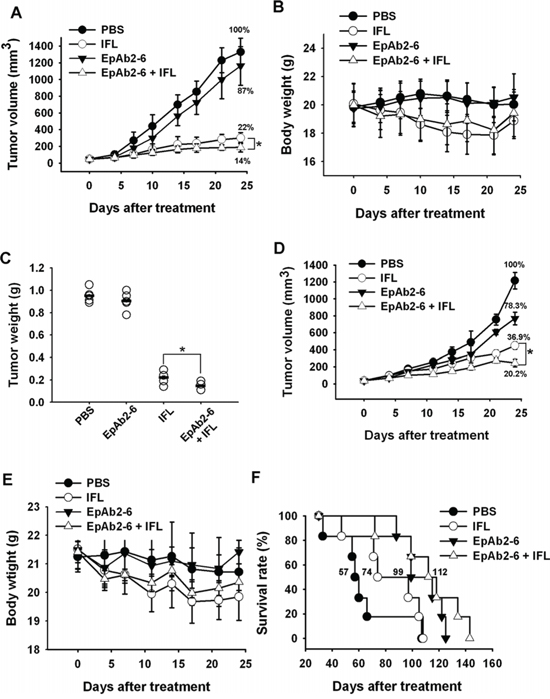 Effect of combinatorial treatment with EpAb2-6 and IFL on mice bearing HCT116 tumors.