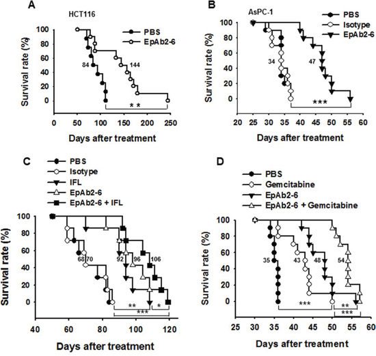 EpAb2-6 enhances survival in an animal model of tumor metastasis.