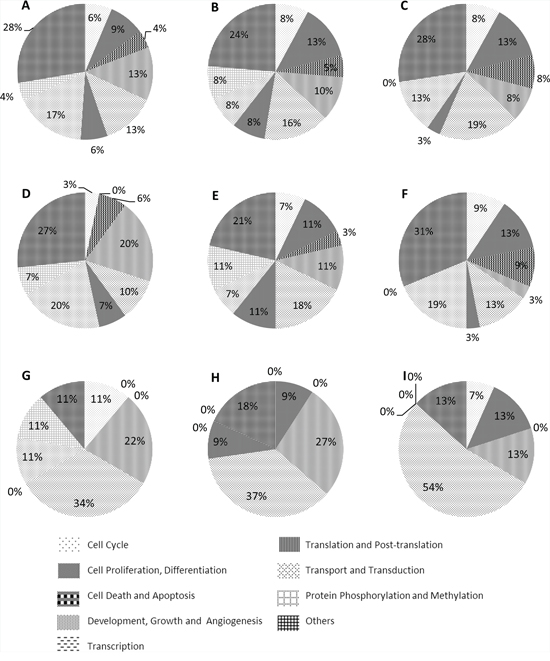 Pie charts of the biological processes of all target genes, unique target genes and TF genes of candidate miRNAs.