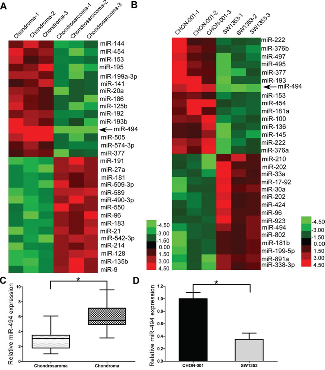 miR-494 is dwon-regulated in chondrosarcoma tissues and human chondrosarcoma cell line SW1353.