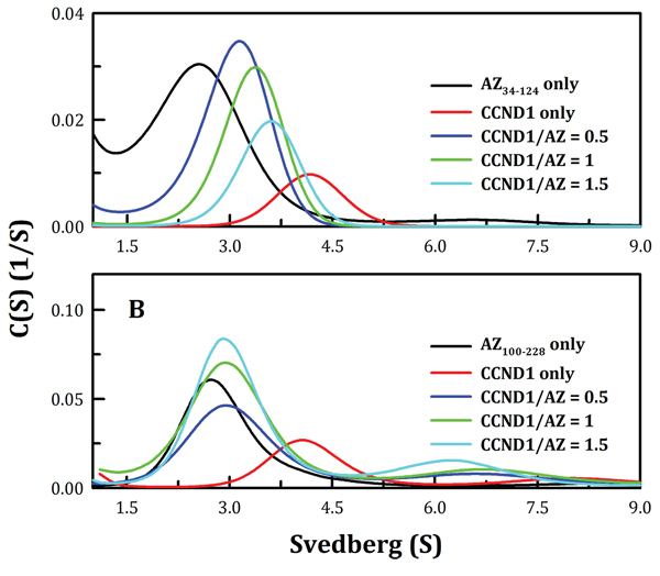 Continuous sedimentation coefficient distribution of human CCND1 in the presence of AZ34&#x2013;124 and AZ100&#x2013;228.