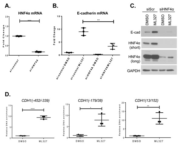HNF4&#x3b1; is associated with ML327 activity.