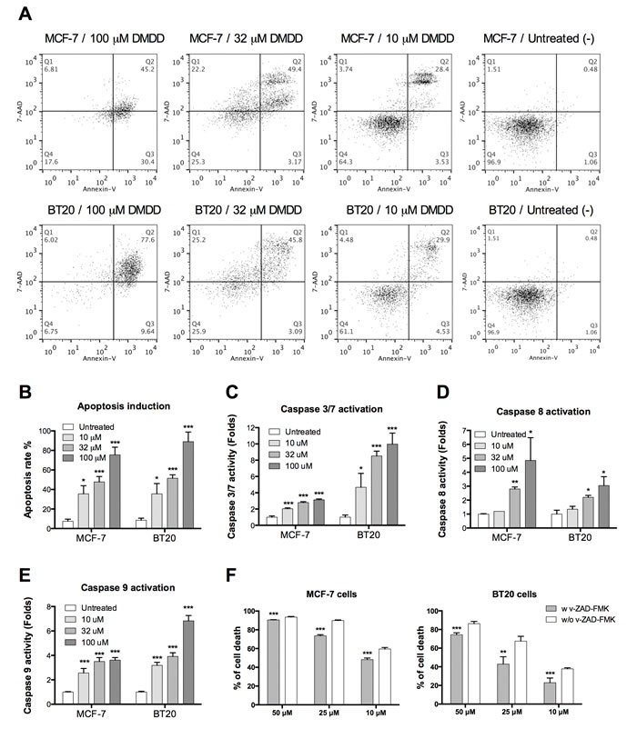 Evaluation of caspase-dependent apoptosis in human breast carcinoma cells MCF-7 and BT20.