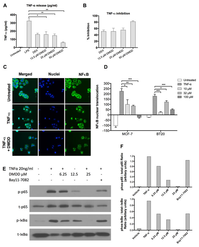DMDD inhibits LPS-induced TNF-&#x3b1; production and suppresses the canonical NF-&#x3ba;B signaling pathway.