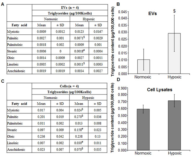 Hypoxia induces triglyceride accumulation in LNCaP cells and EVs.