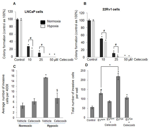 Increased sensitivity of hypoxia-exposed PCA cells towards celecoxib following reoxygenation.