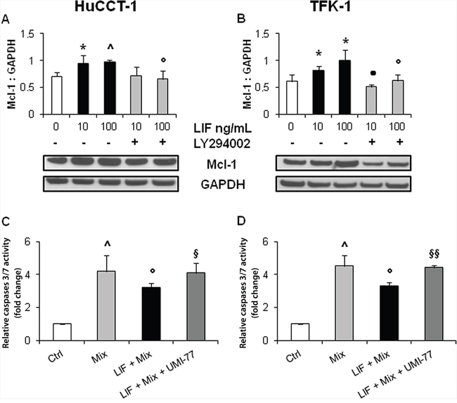 rhLIF&#x2019;s regulation of the anti-apoptotic protein Mcl-1, and caspases 3/7 activity via Mcl-1, in CCA cells.