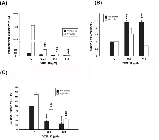YXM110 inhibits HRE-Luciferases activity and VEGF transcription and translation.