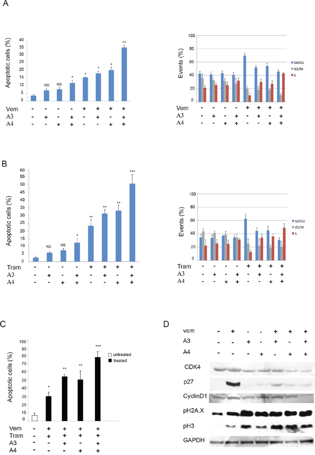 Anti-ErbB3 mAbs combination induces melanoma cell apoptosis better than the single mAbs when combined with vemurafenib and/or trametinib.