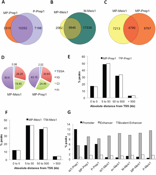 Overexpression modifies the enhancer preference of Prep1, not of Meis1.