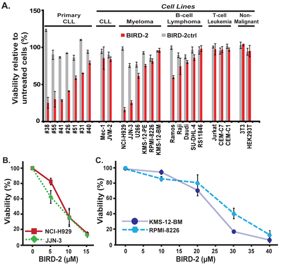 Differential sensitivity of various malignant and non-malignant cell lines to BIRD-2-induced cell death.