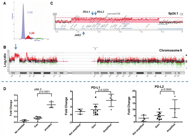 The 9p24 amplicon in a triple negative breast cancer genome.