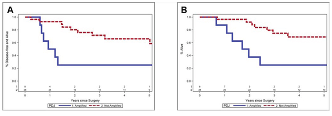 Clinical outcomes for TNBC patients with or without PDJ amplicon.