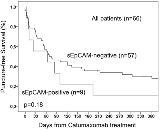 Puncture-free survival of 66 patients with malignant ascites treated with catumaxomab.