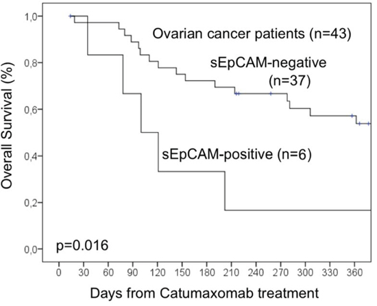 Overall survival analysis of a subgroup of 43 ovarian cancer patients.