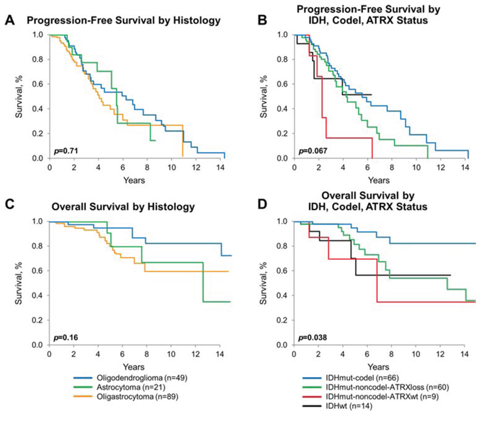 Progression-free and overall survival by diagnosis and molecular subgroups.