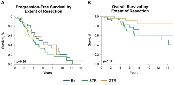 Progression-free and overall survival by extent of resection.