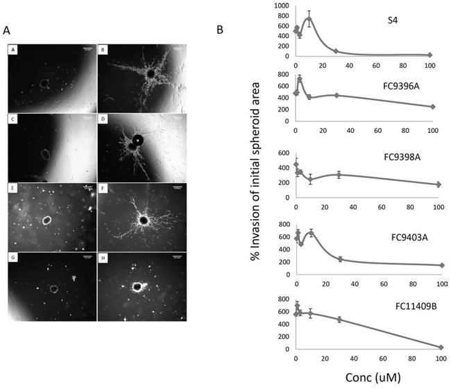 The effect of S4, FC9396A, FC9403A, and FC11409B on the ability of MDA-MB-231 spheroids to invade collagen.