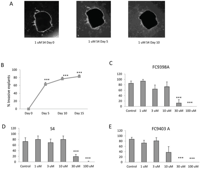 The effects of S4, FC9398A and FC9403A, and FC11409B on breast cancer invasion.