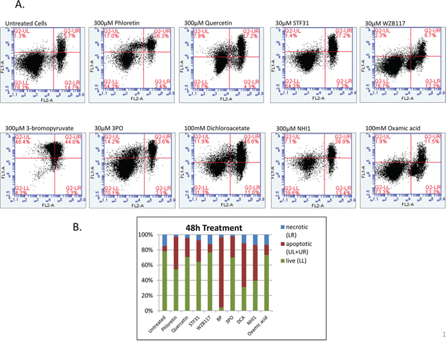 A. Two-dimensional scatter plots of Annexin V (FL1) vs PI (FL2) generated from flow cytometry analysis of MCF-7 cells when treated with 9 glycolytic inhibitors for 48 h.