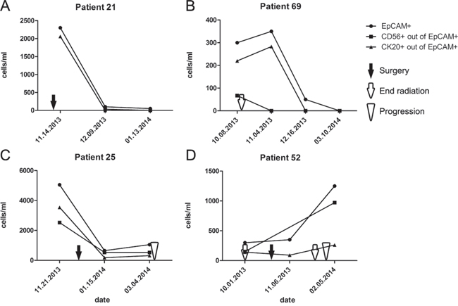 Longitudinal changes in CTC counts reflect MCC treatment response and tumor progression in individual patients.