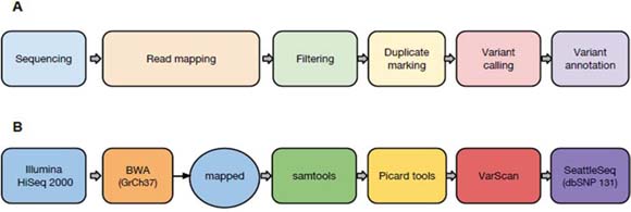 Pipeline schematic.