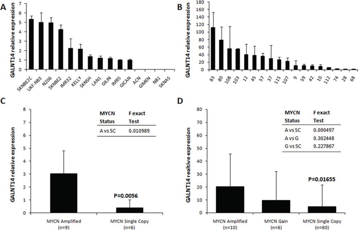 GALNT14 mRNA expression in NB.