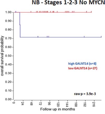GALNT14 impact on localized NB overall survival.
