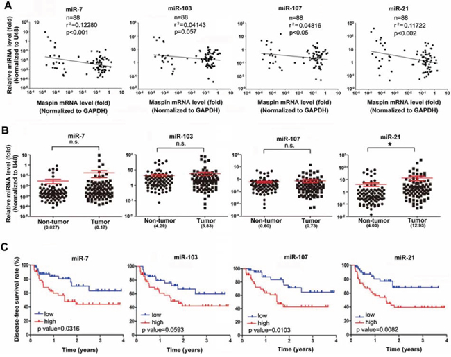 Induction of maspin-targeted microRNAs by HBx correlated with the poor prognosis of HBV-associated HCC patients.