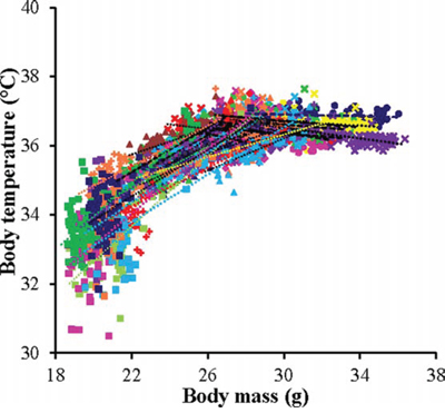 The relationship between mean daily body temperature and body mass (BM).